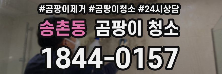 송촌동 곰팡이 청소