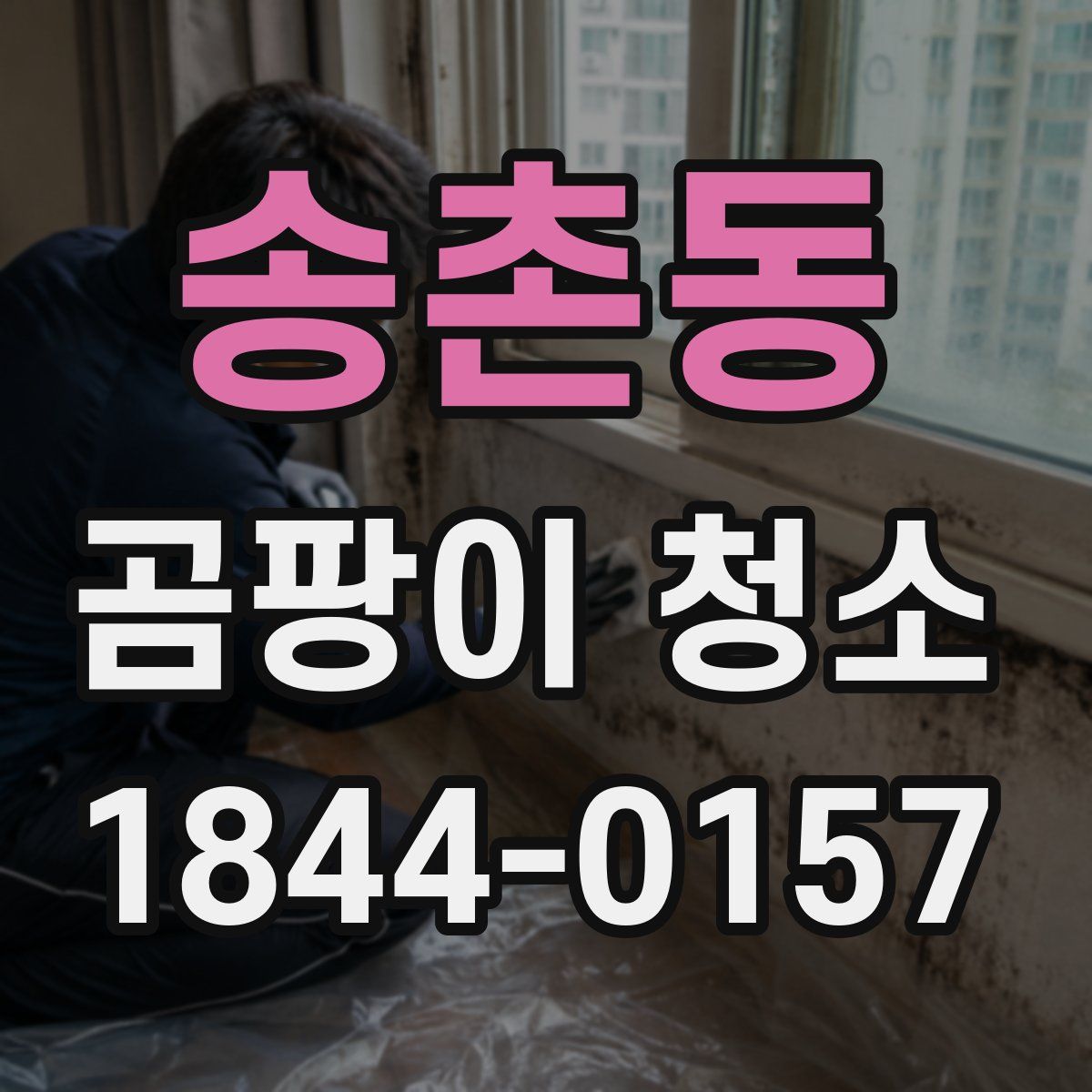 송촌동 곰팡이 청소