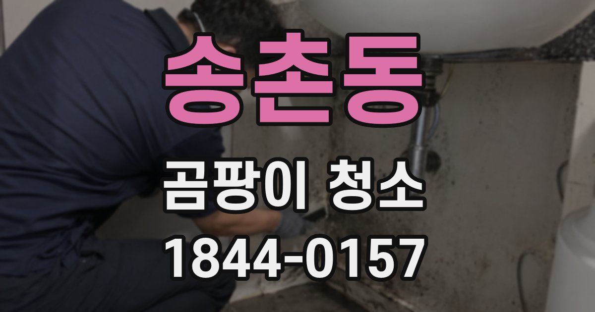 송촌동 곰팡이 청소