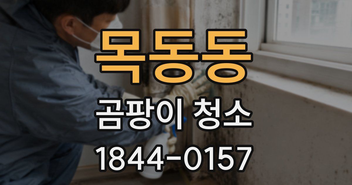목동동 곰팡이 청소