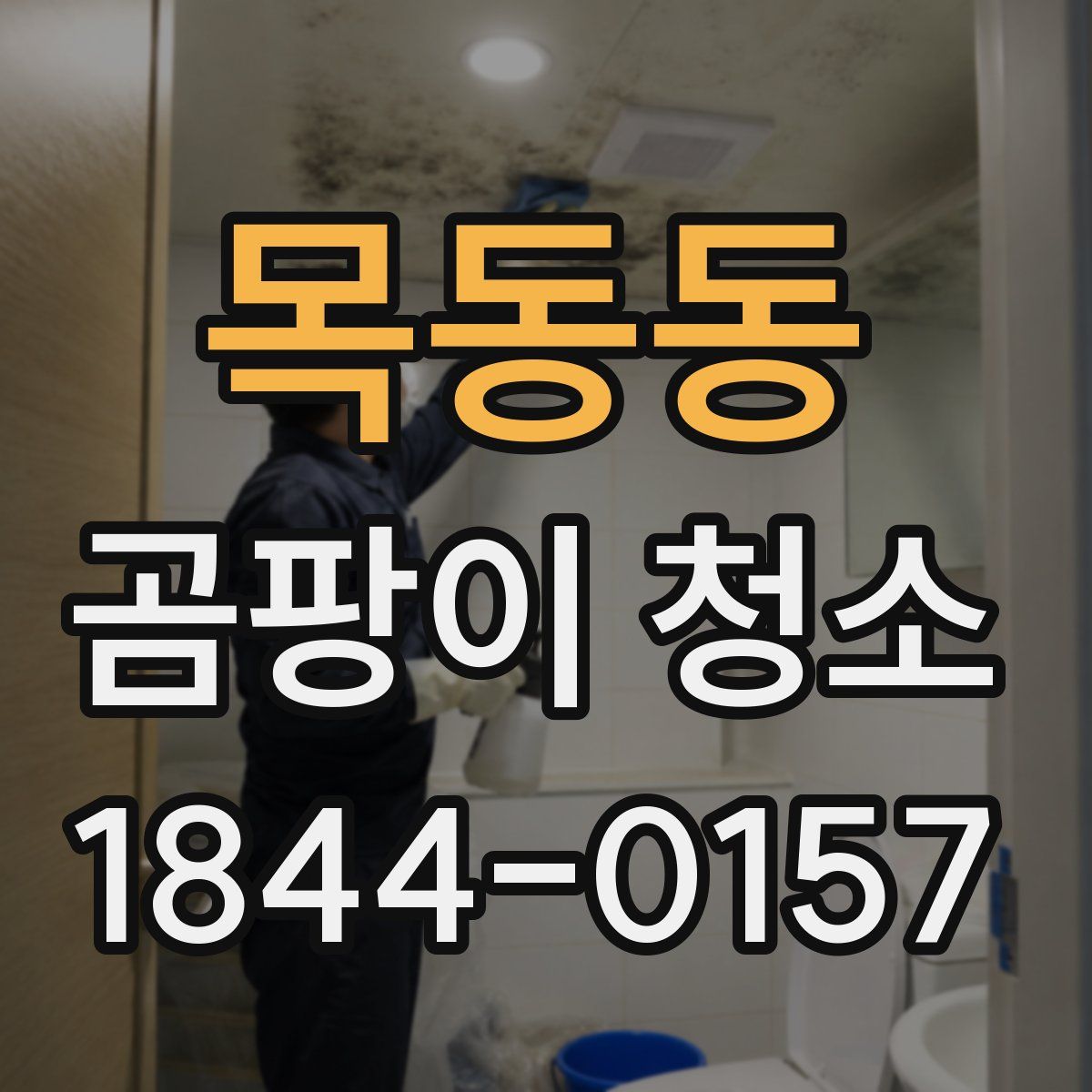 목동동 곰팡이 청소