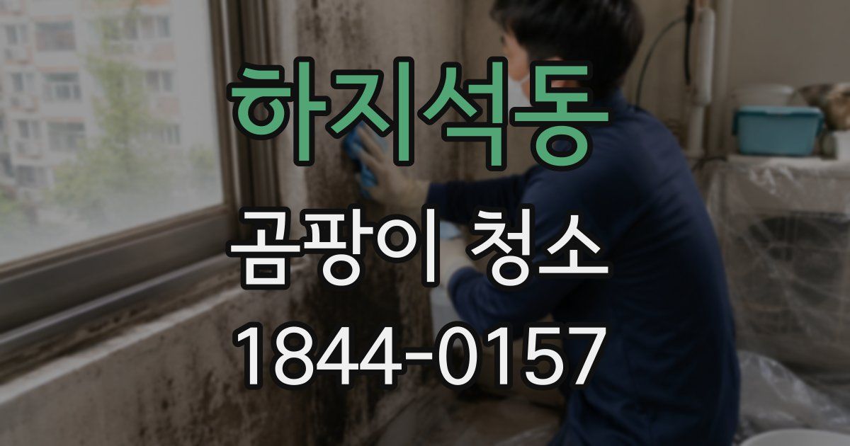 하지석동 곰팡이 청소