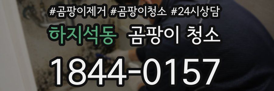 하지석동 곰팡이 청소