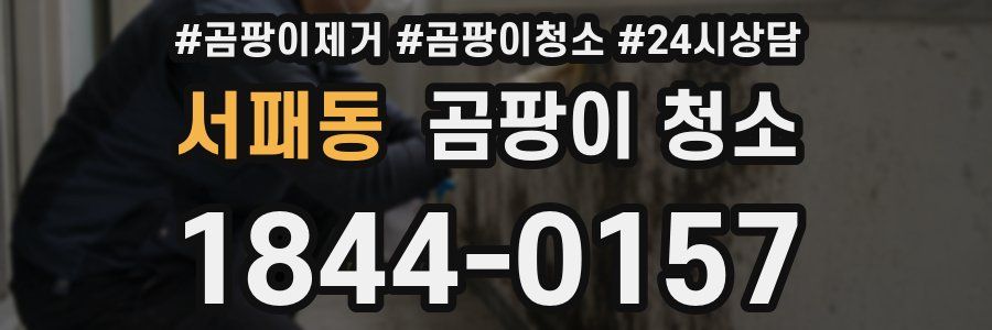 서패동 곰팡이 청소