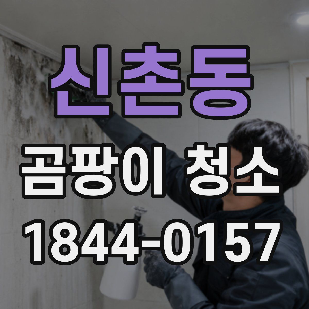 신촌동 곰팡이 청소