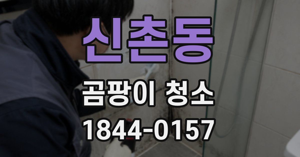 신촌동 곰팡이 청소