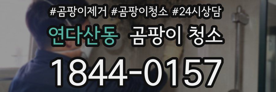 연다산동 곰팡이 청소
