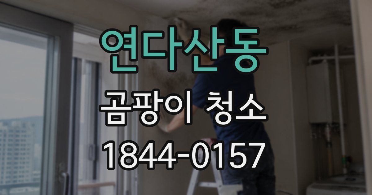 연다산동 곰팡이 청소