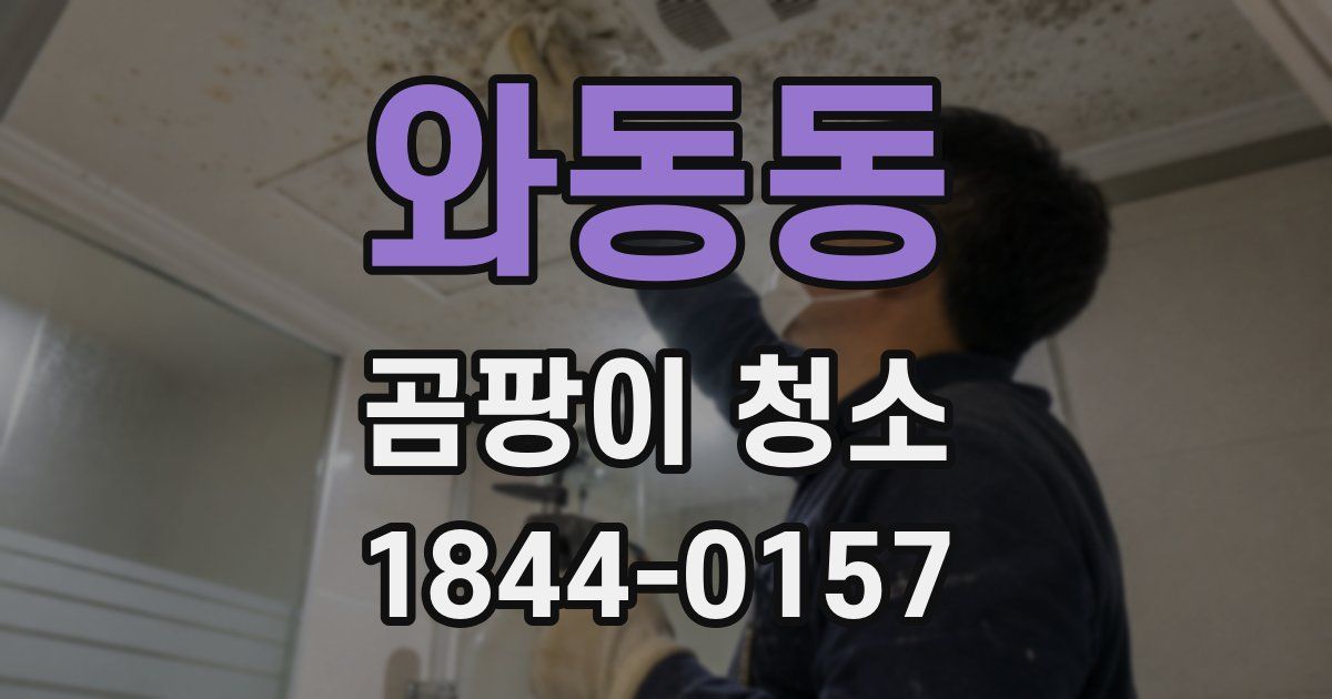 와동동 곰팡이 청소
