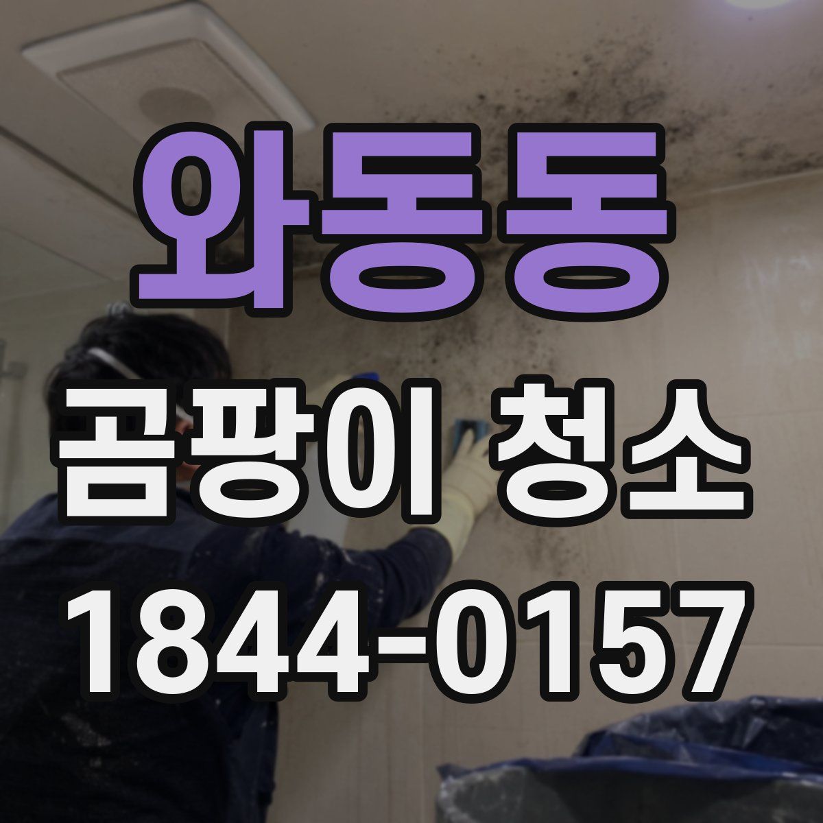 와동동 곰팡이 청소