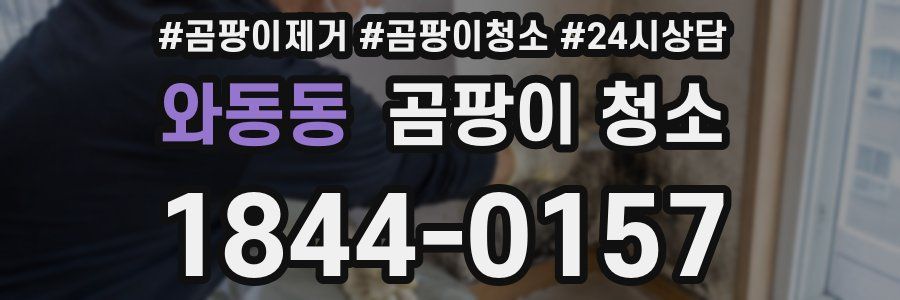 와동동 곰팡이 청소