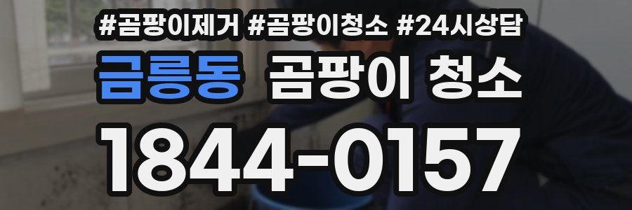 금릉동 곰팡이 청소