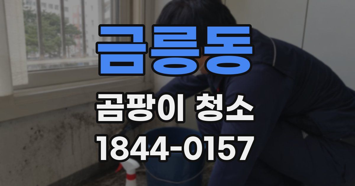 금릉동 곰팡이 청소