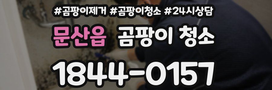 문산읍 곰팡이 청소