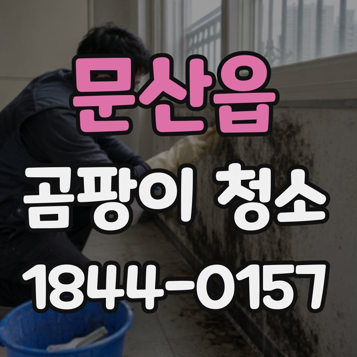 문산읍 곰팡이 청소