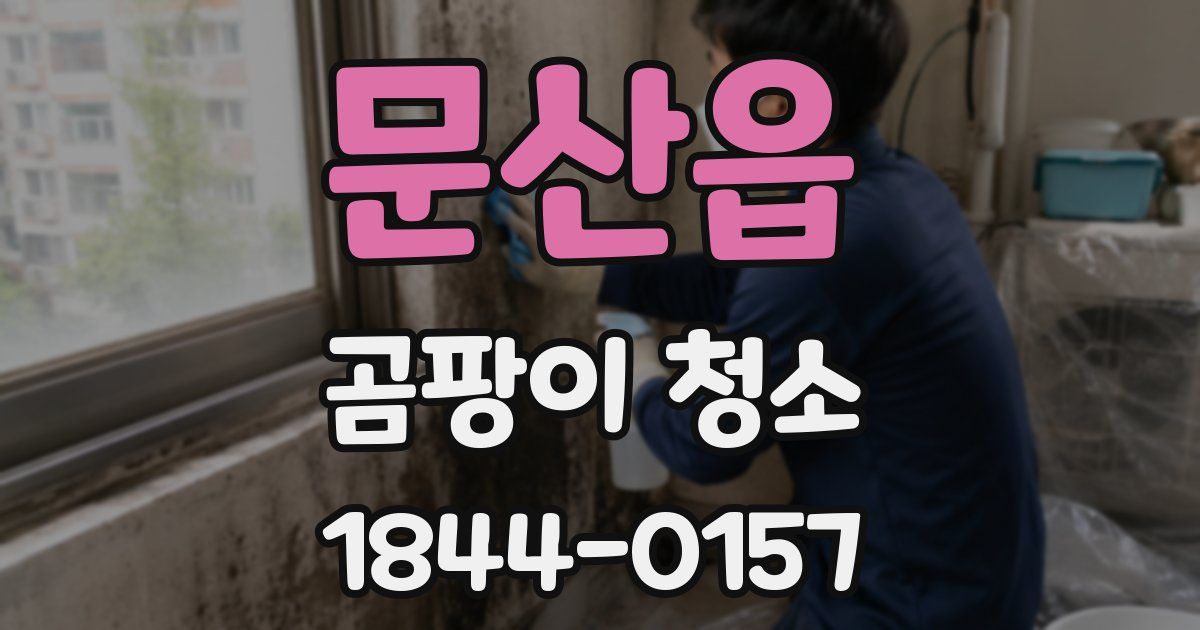 문산읍 곰팡이 청소