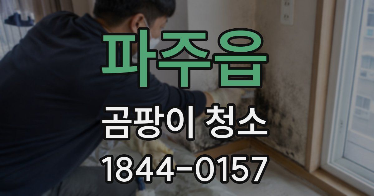 파주읍 곰팡이 청소