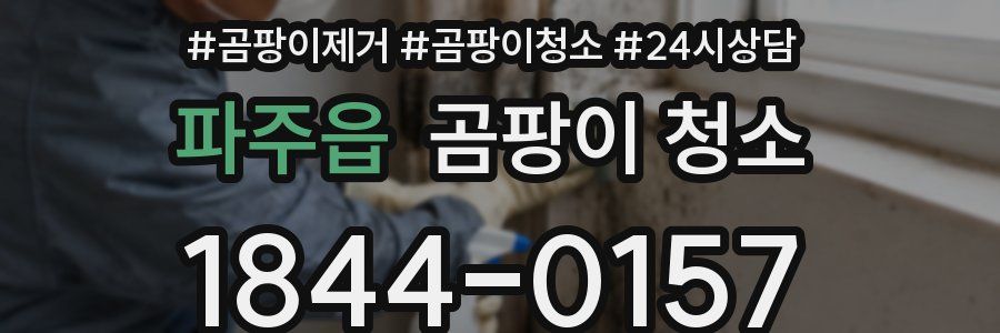 파주읍 곰팡이 청소
