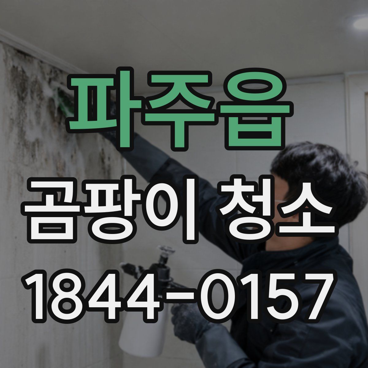 파주읍 곰팡이 청소