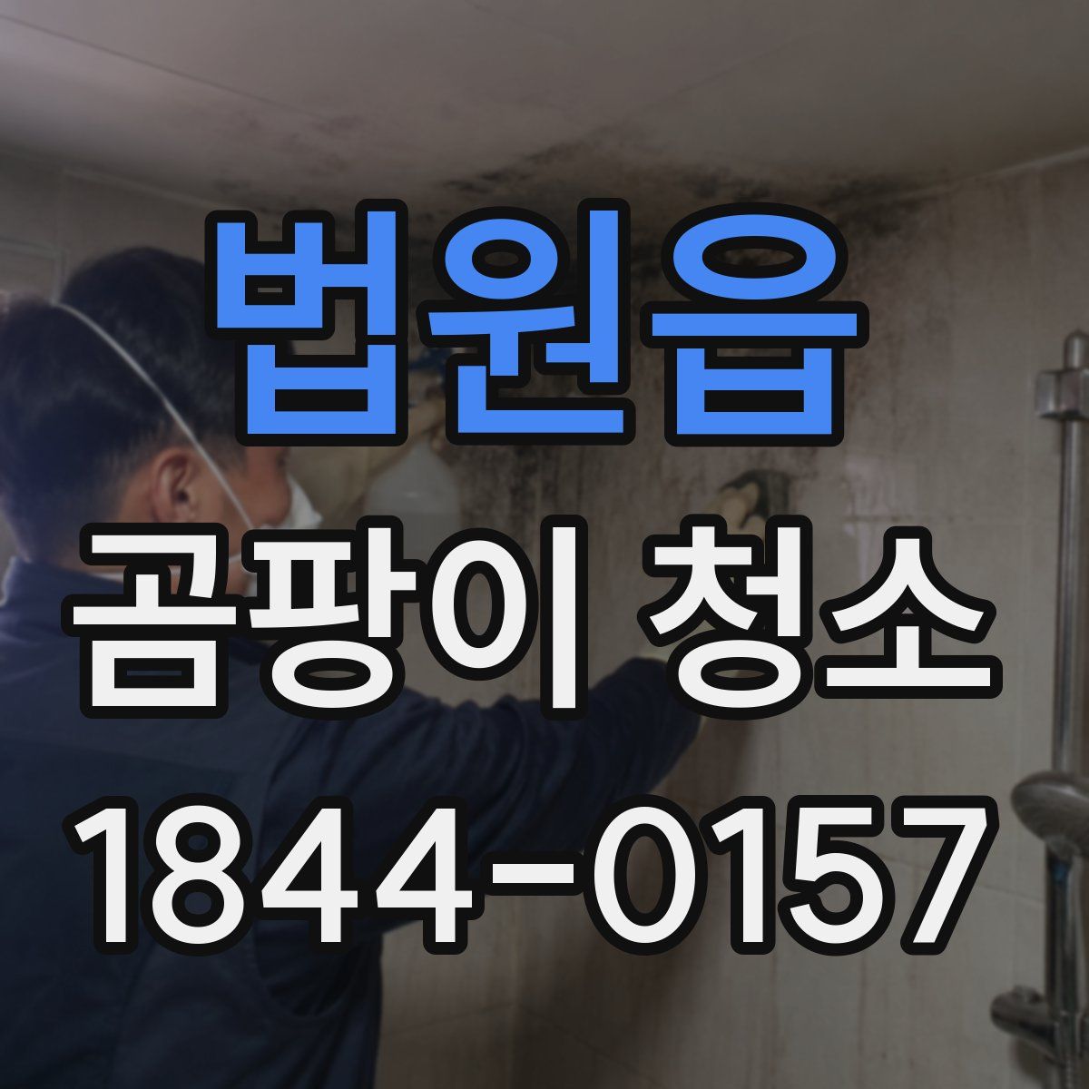 법원읍 곰팡이 청소