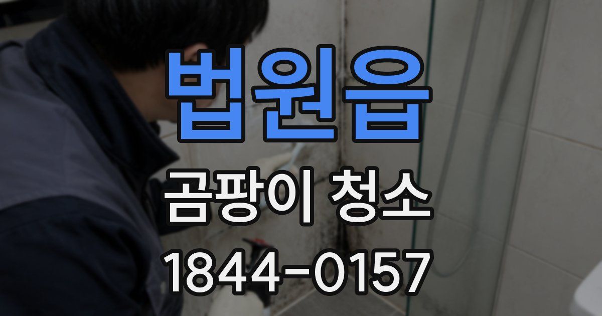 법원읍 곰팡이 청소