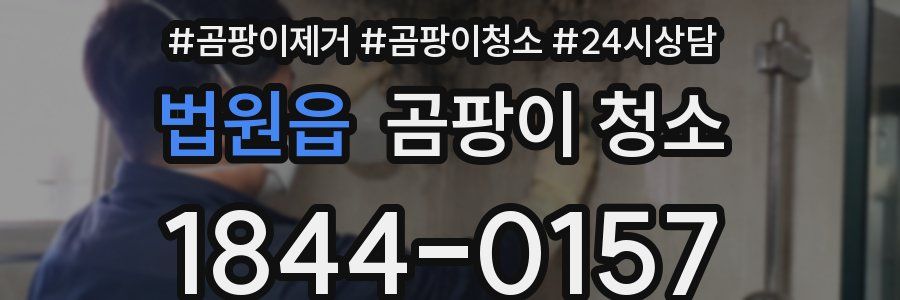 법원읍 곰팡이 청소