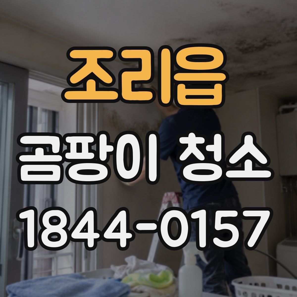 조리읍 곰팡이 청소