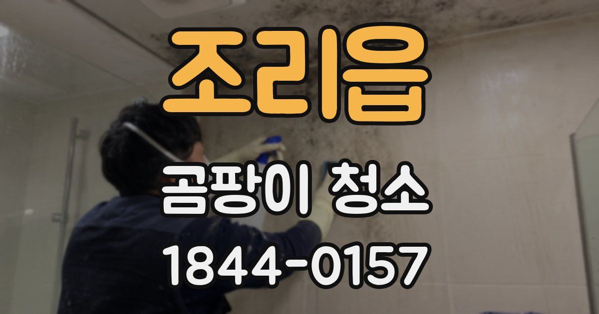 조리읍 곰팡이 청소