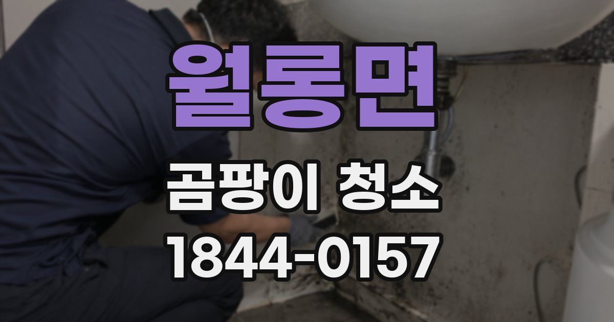 월롱면 곰팡이 청소