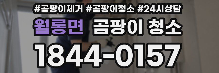월롱면 곰팡이 청소