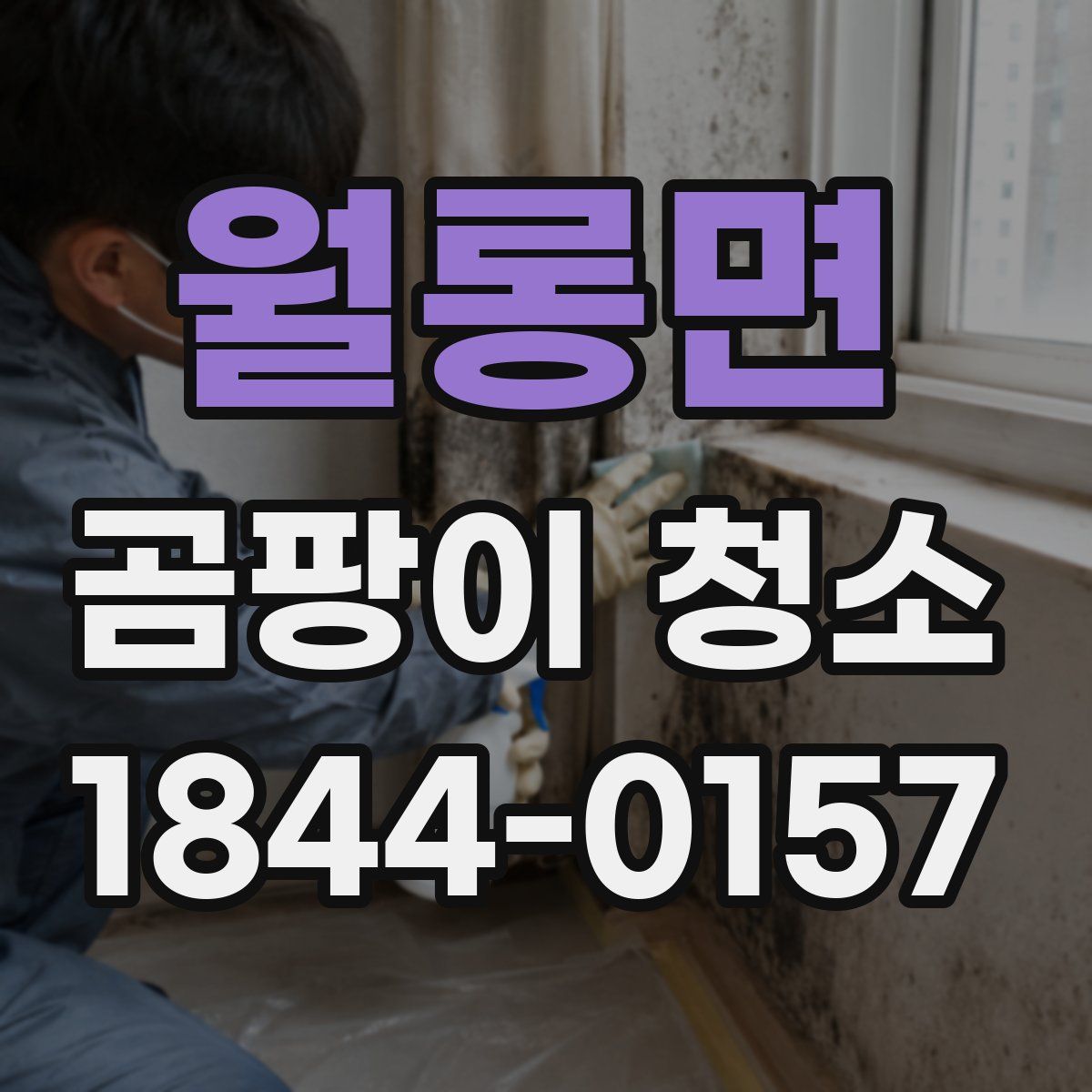 월롱면 곰팡이 청소