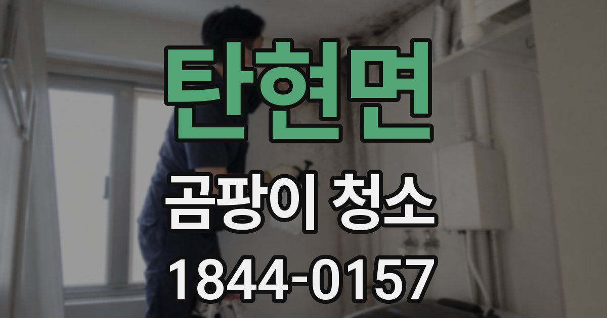 탄현면 곰팡이 청소