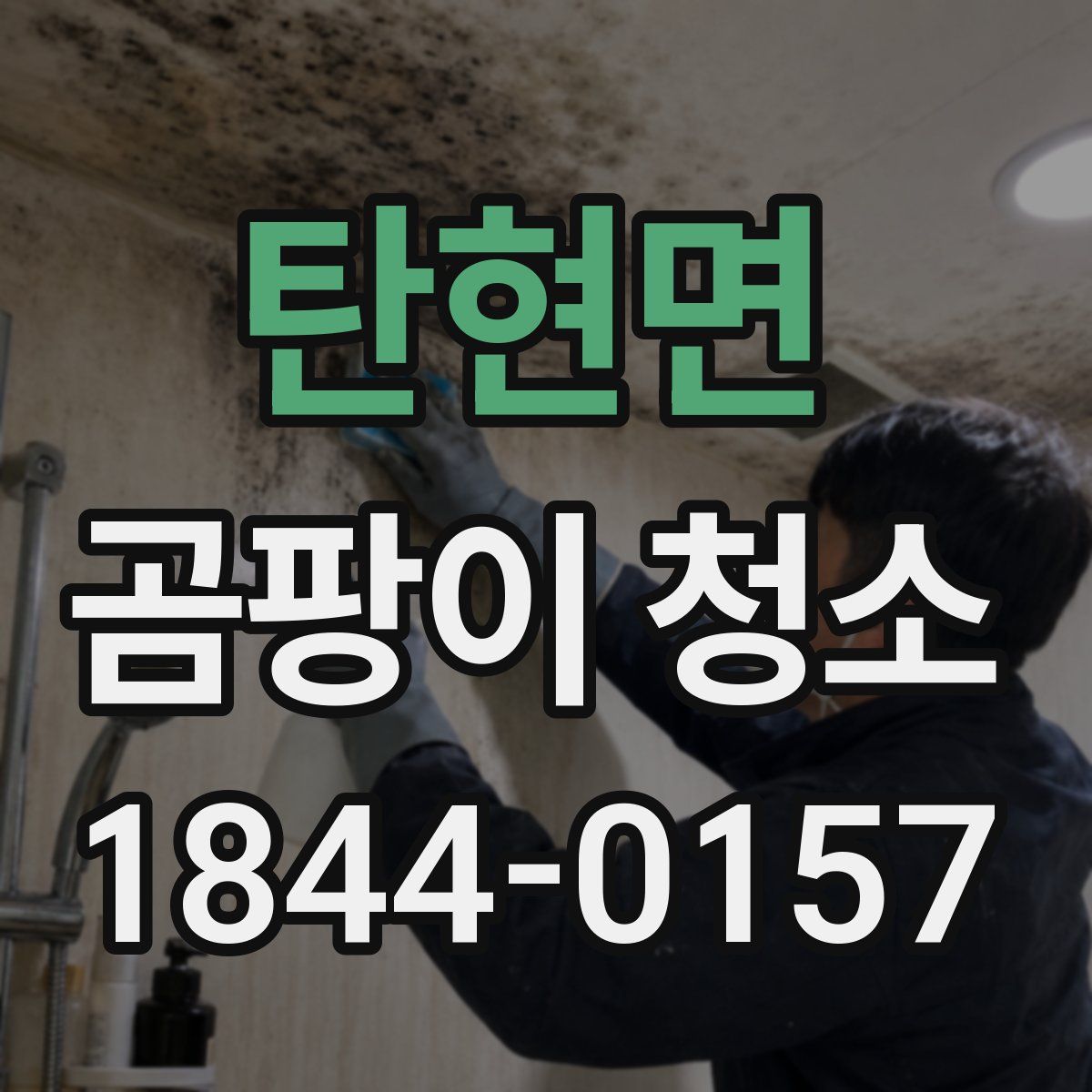 탄현면 곰팡이 청소
