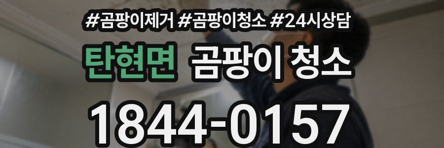탄현면 곰팡이 청소