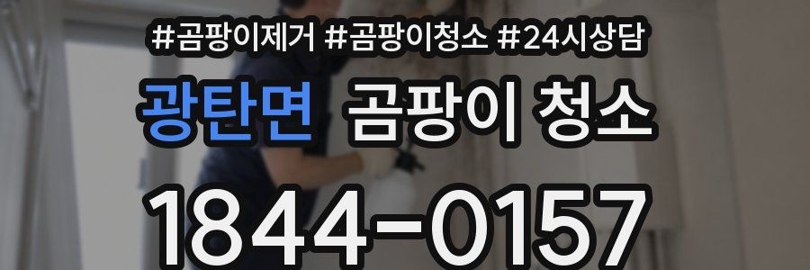 광탄면 곰팡이 청소