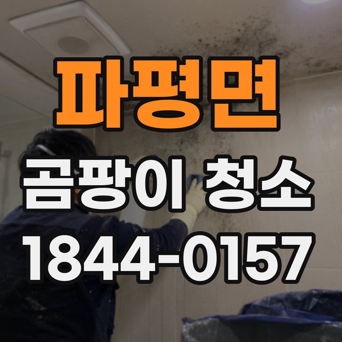 파평면 곰팡이 청소