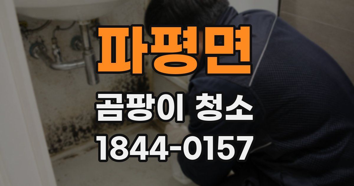 파평면 곰팡이 청소