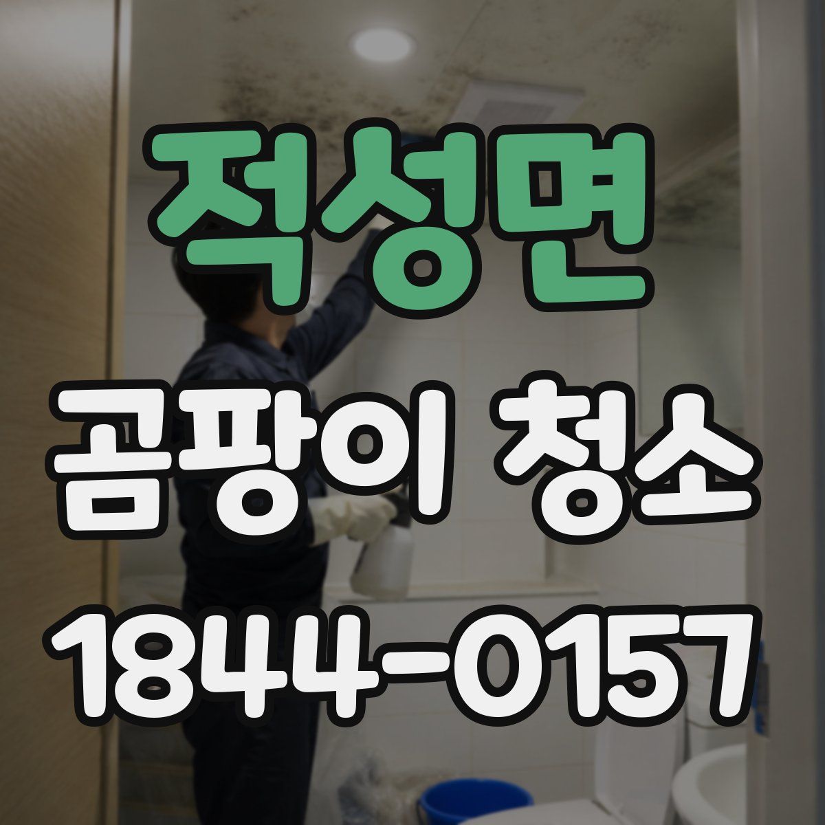적성면 곰팡이 청소