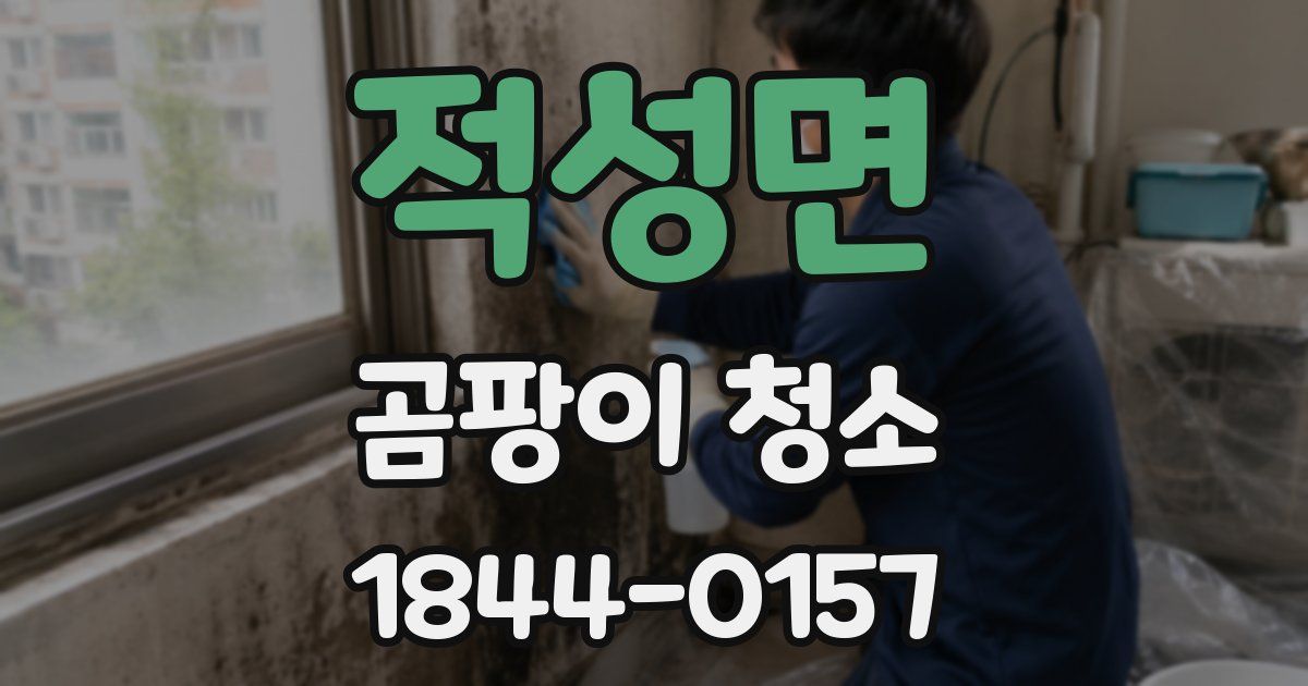 적성면 곰팡이 청소