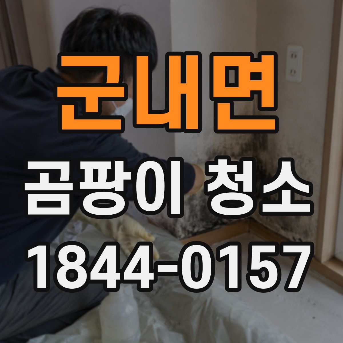 군내면 곰팡이 청소
