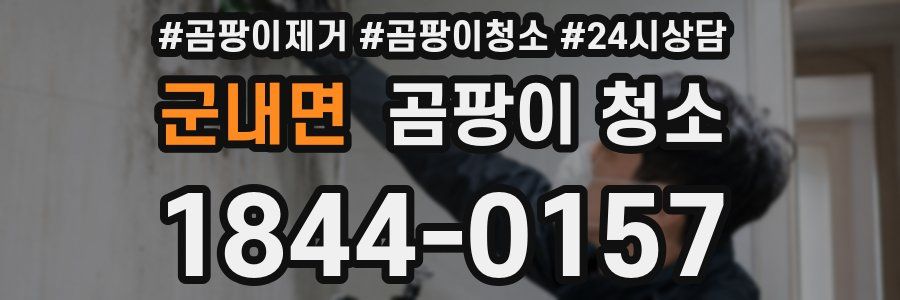 군내면 곰팡이 청소