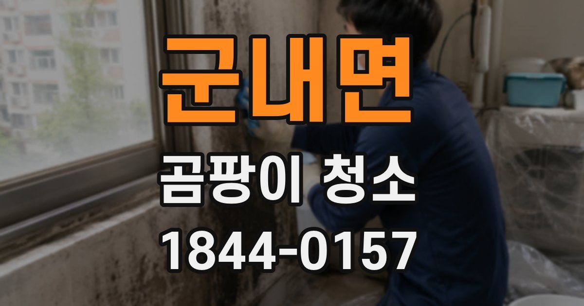 군내면 곰팡이 청소