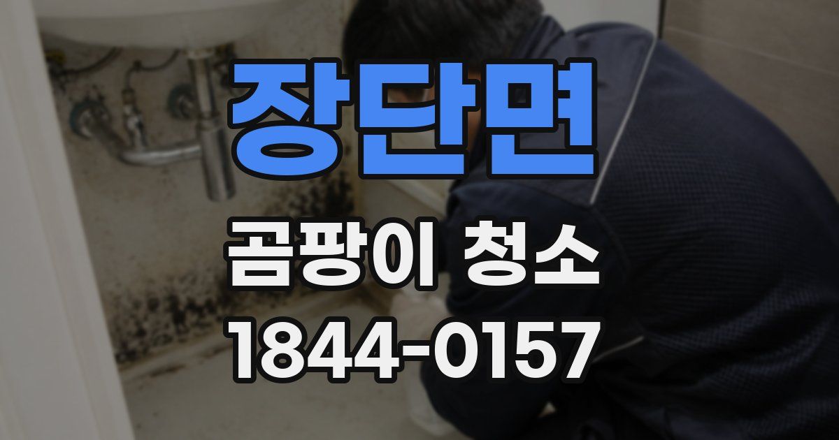 장단면 곰팡이 청소