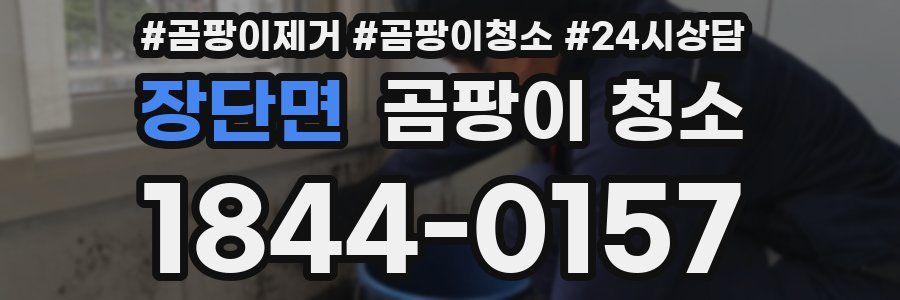 장단면 곰팡이 청소