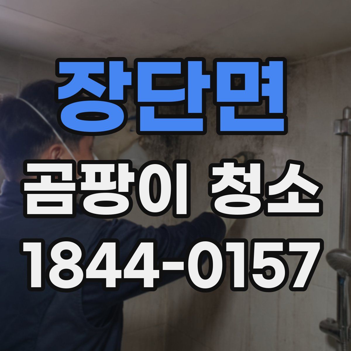 장단면 곰팡이 청소