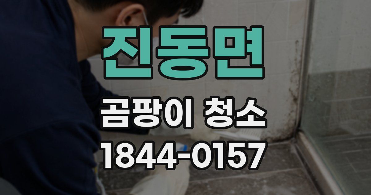 진동면 곰팡이 청소