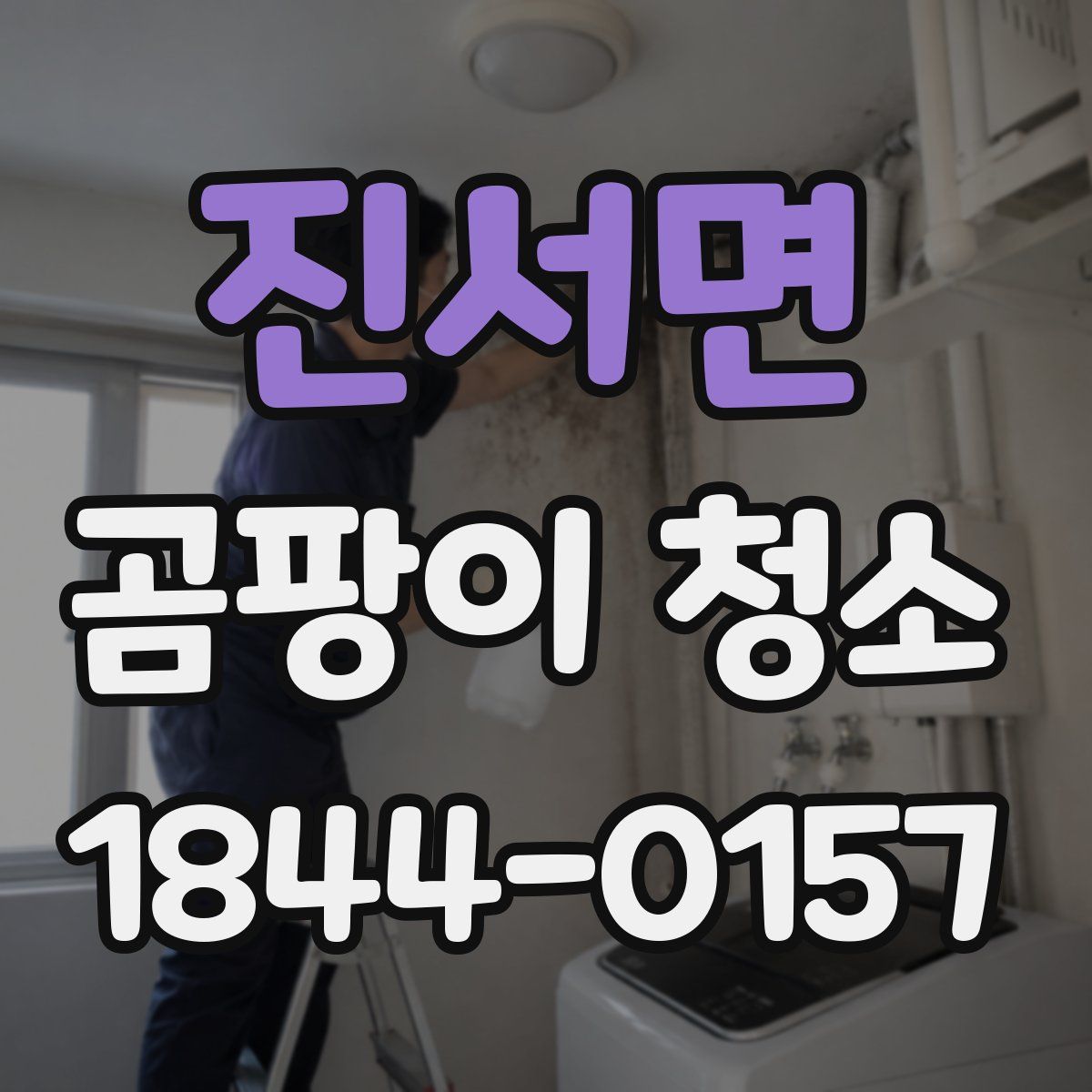 진서면 곰팡이 청소