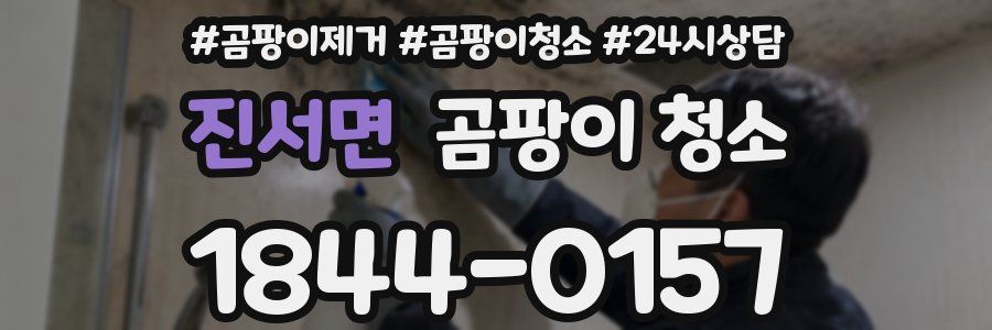 진서면 곰팡이 청소