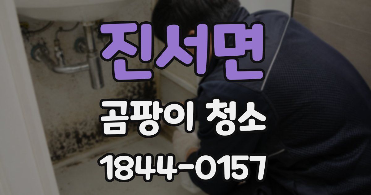 진서면 곰팡이 청소