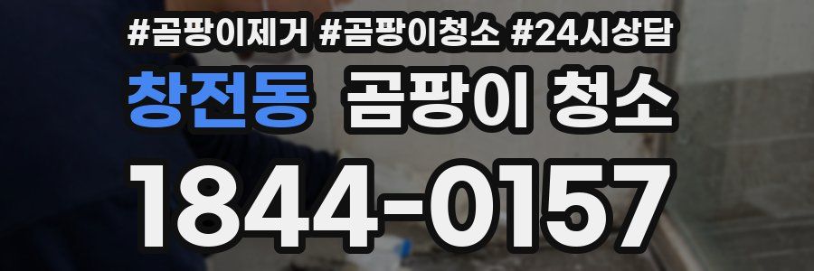 창전동 곰팡이 청소